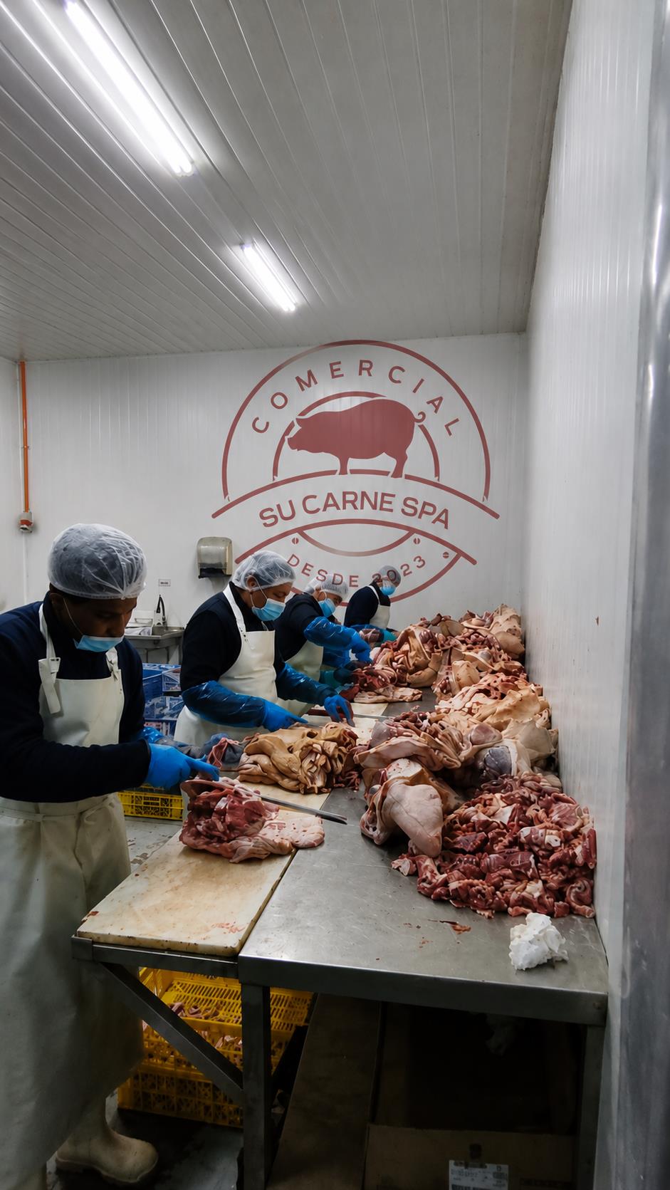 Equipo de Comercial Su Carne SpA trabajando en la sala de proceso
